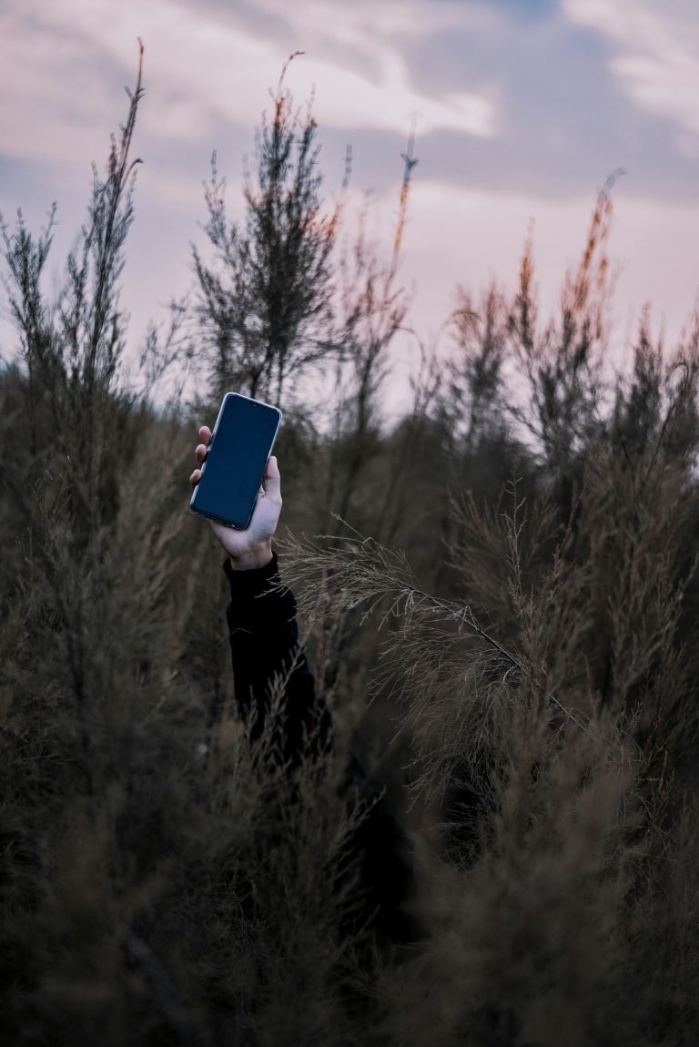 An arm holding a mobile phone above tall grasses, the rest of their body not visible.