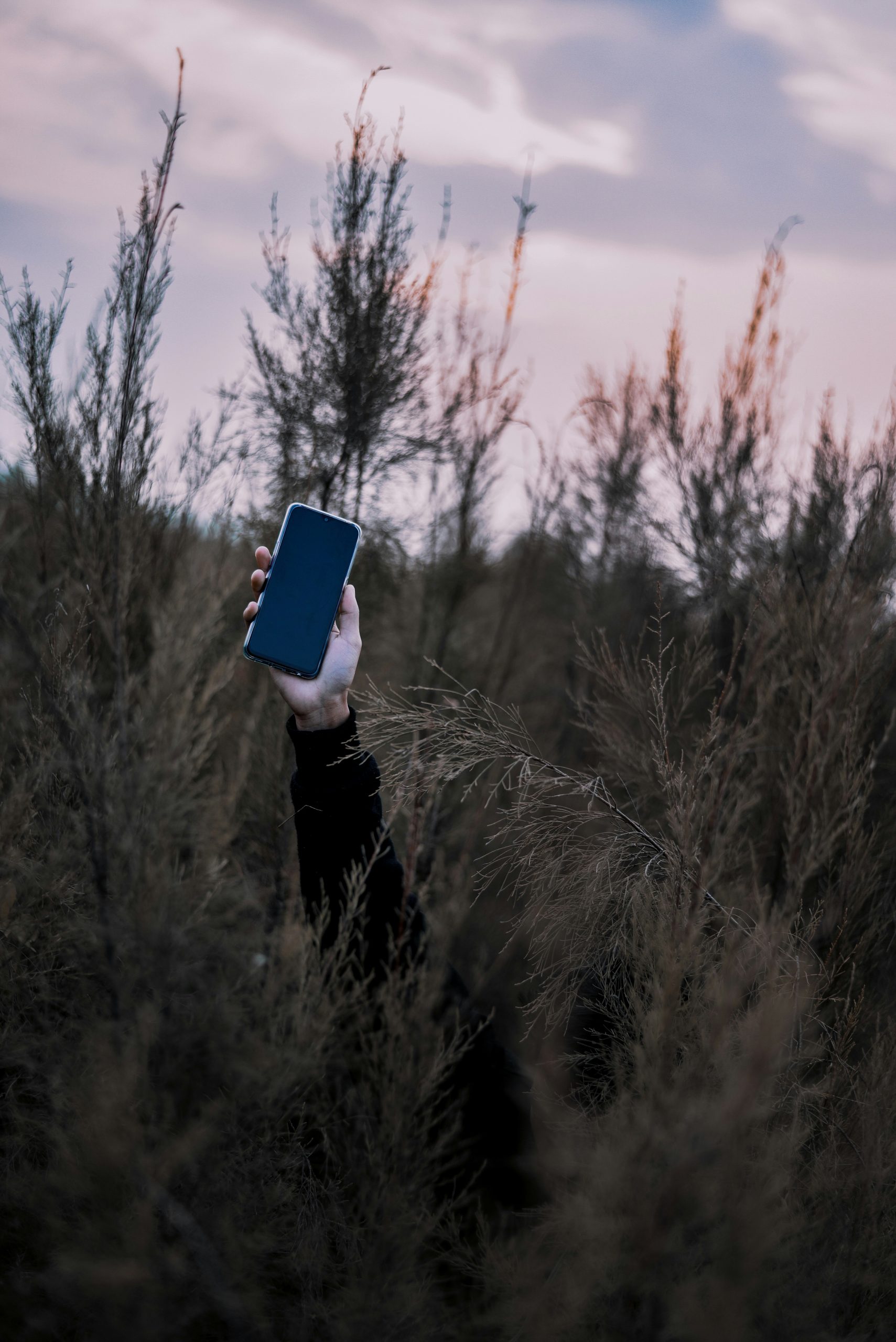 An arm holding a mobile phone above tall grasses, the rest of their body not visible.
